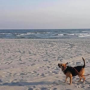 Meet your Posher, Libby